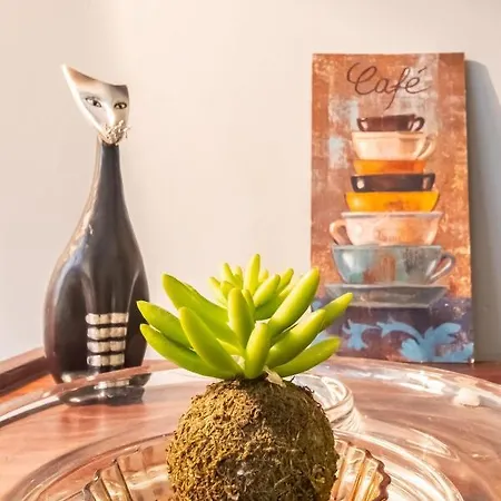 Delightful Flat Close To Galata Διαμέρισμα *